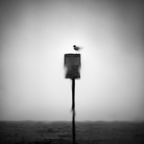 Photograph Rosario Leotta Molecula on One Eyeland
